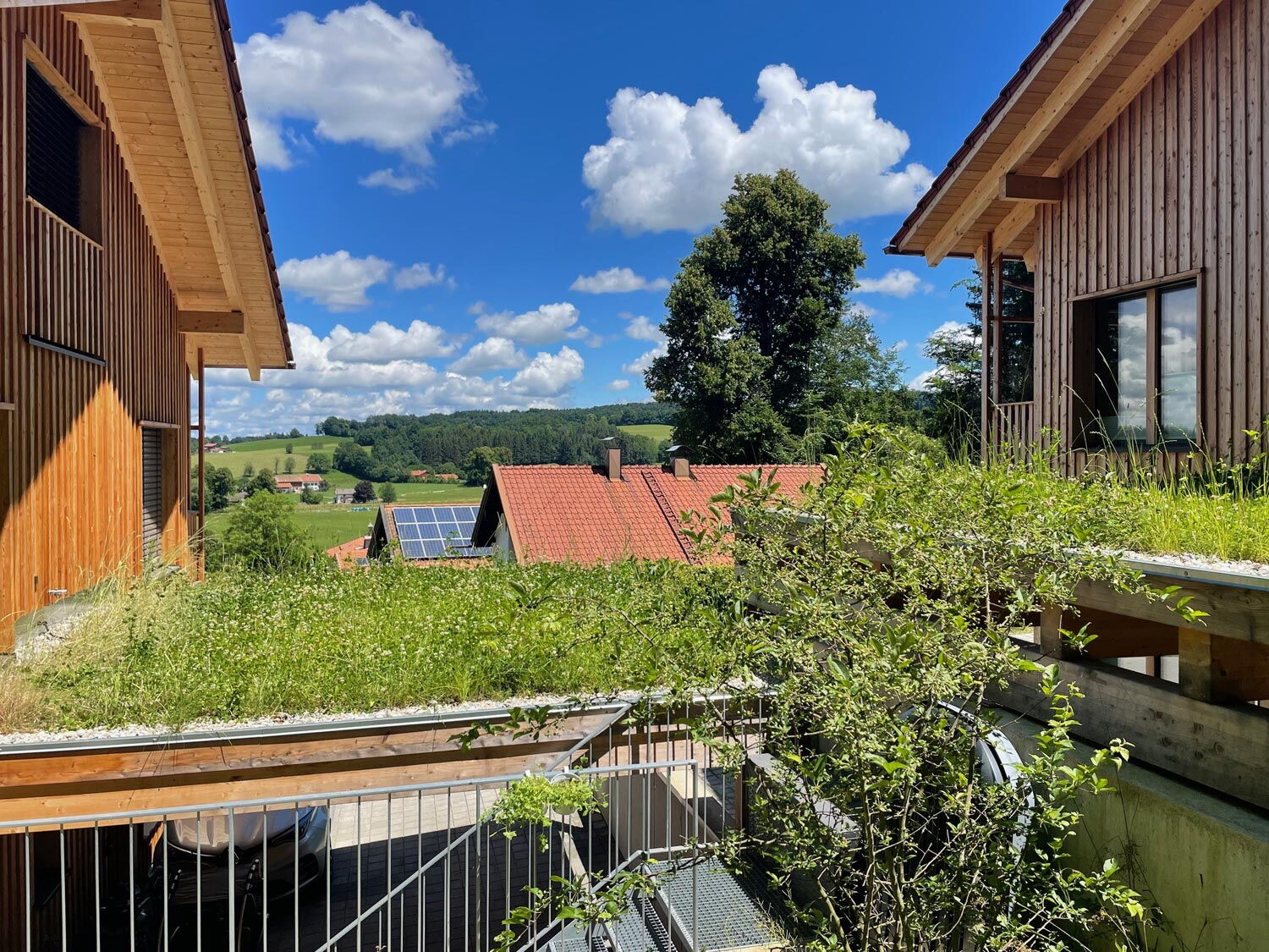 Holzhaus, Mehrfamilienhaus mit Dachbegrünung Carport